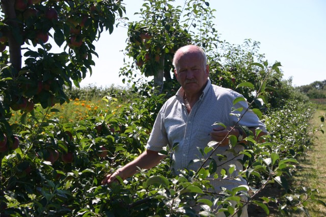 Click for original image 440k 1229x819